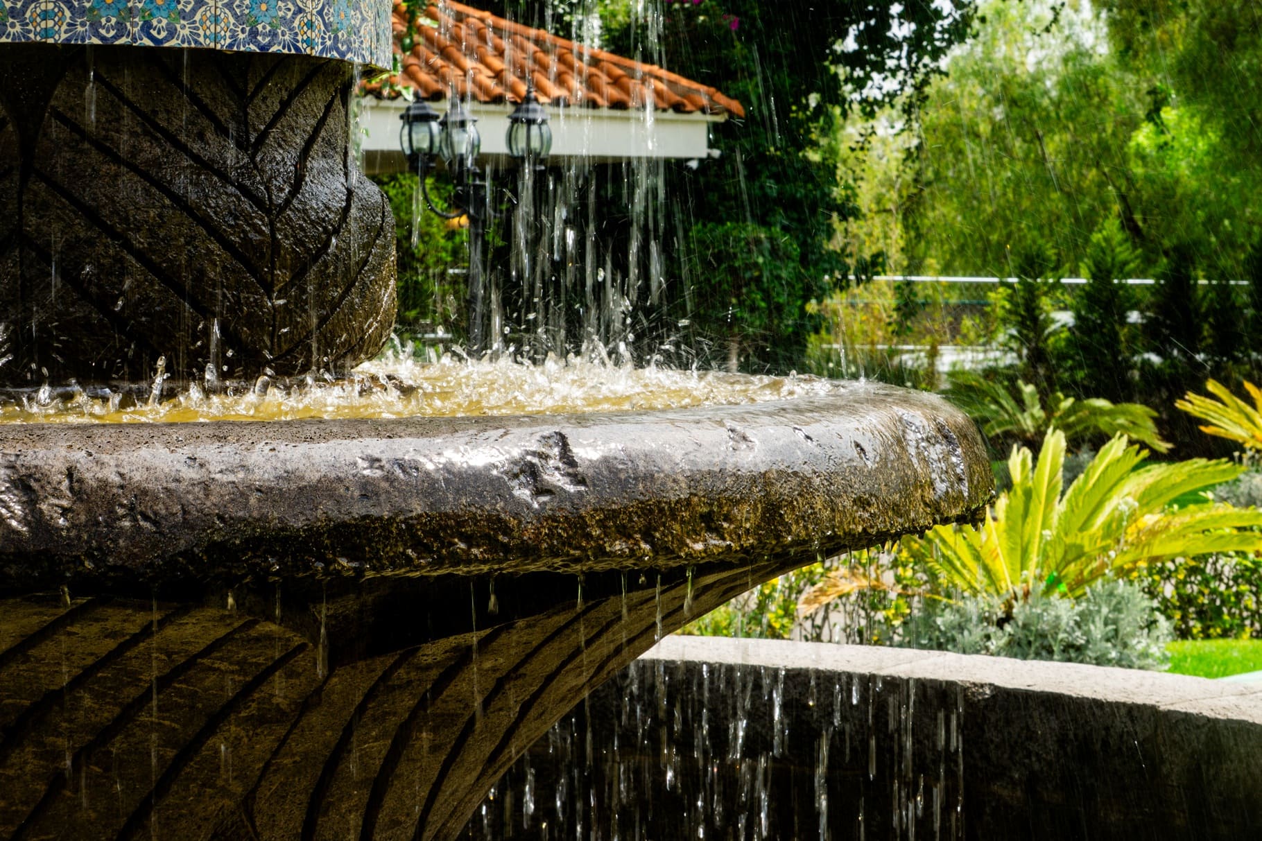 Jardines de El Ranchito con vegetación exuberante