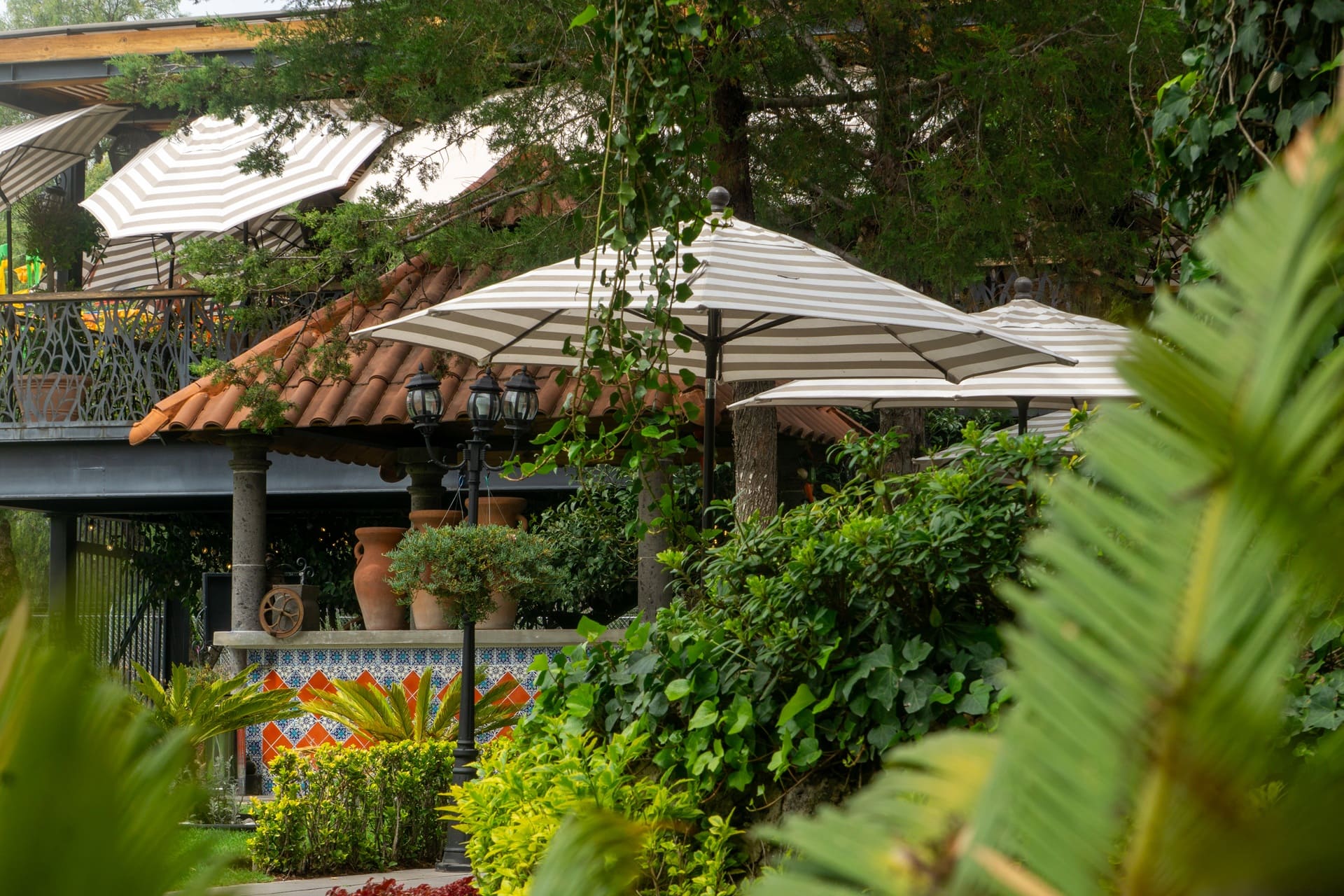Jardines