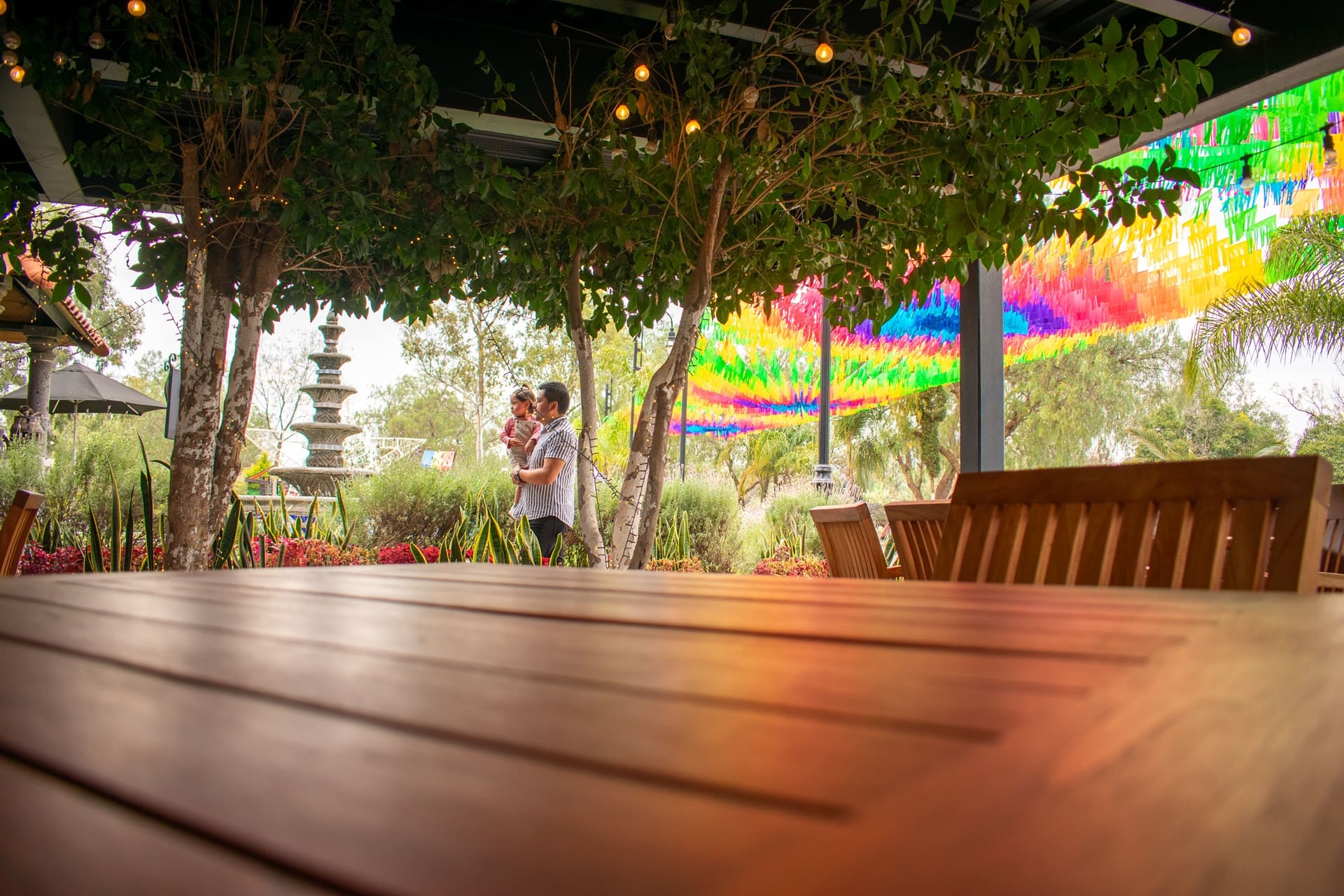 Perspectiva de Terraza