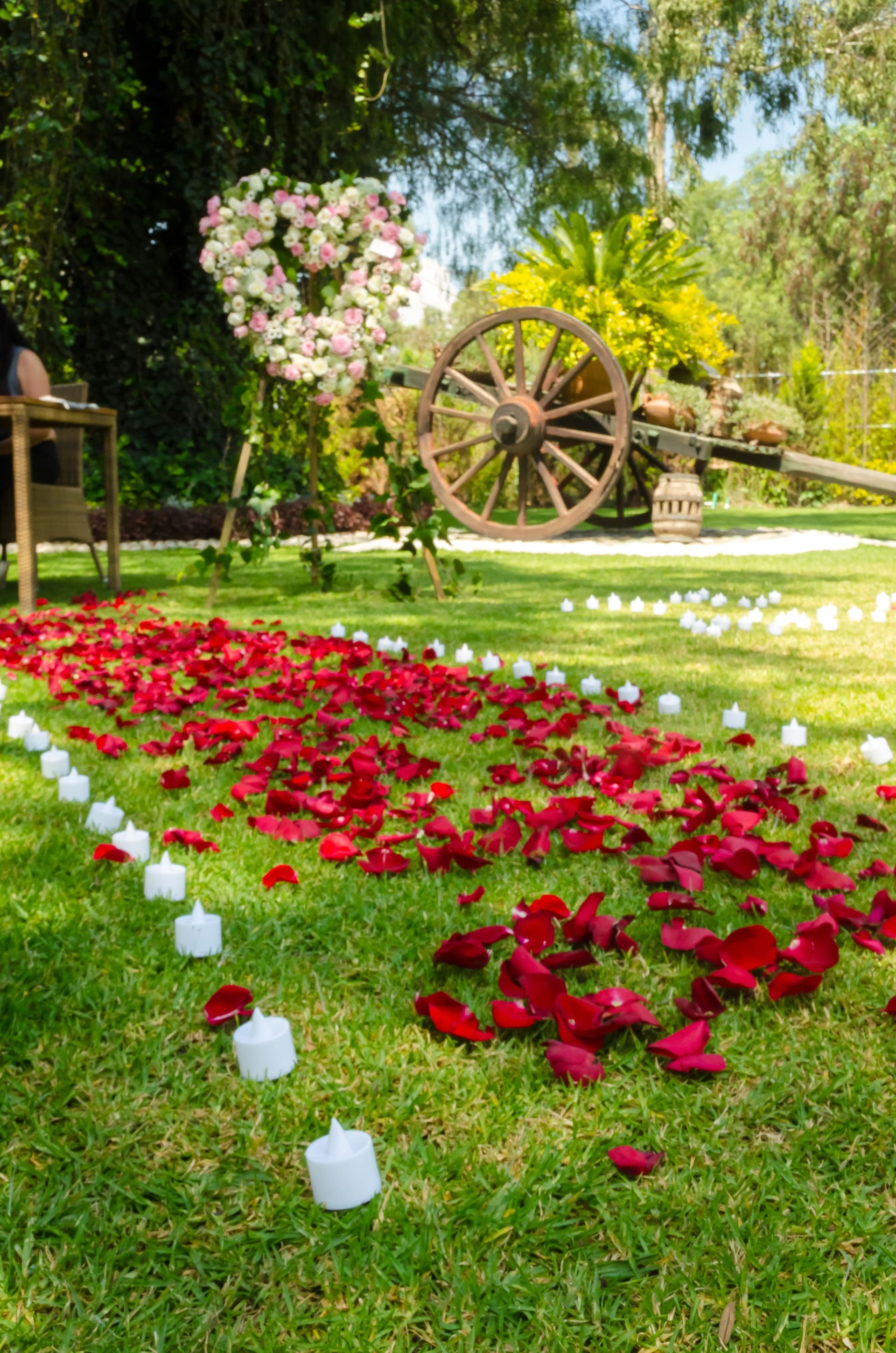 Camino de Rosas